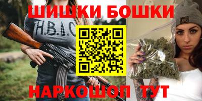 хмурый Кингисепп