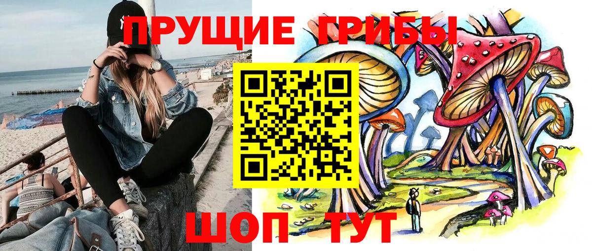 Псилоцибиновые грибы Psilocybe Кувандык