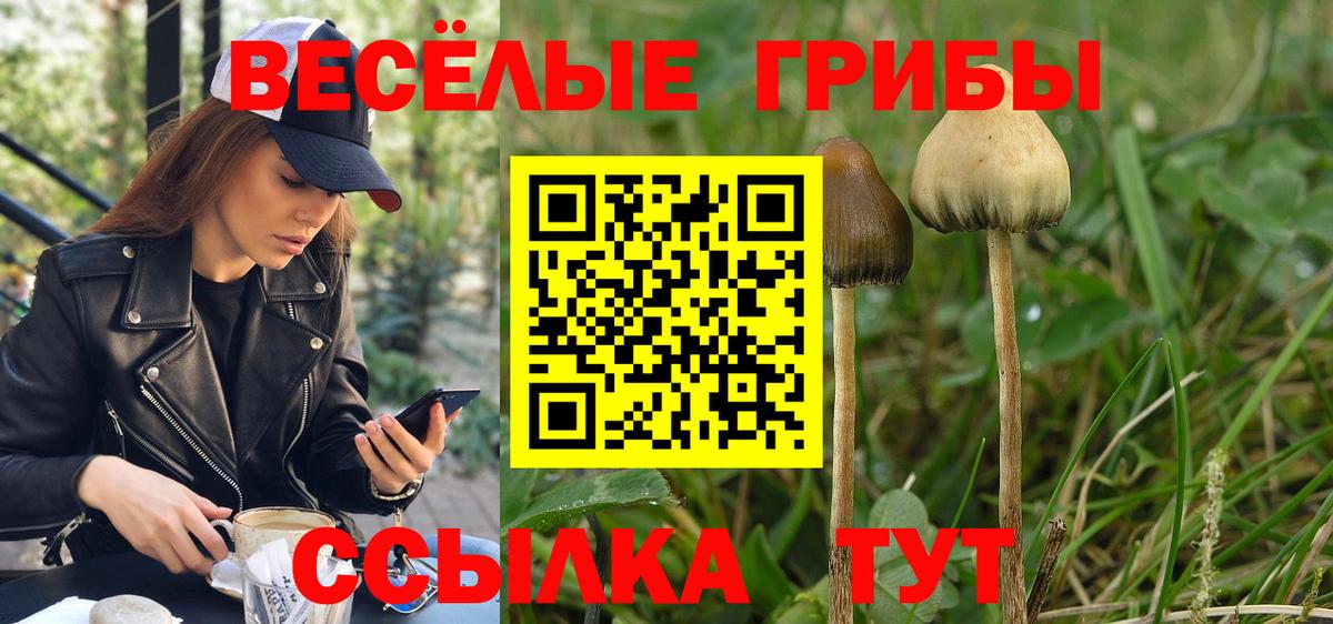 Псилоцибиновые грибы MAGIC MUSHROOMS  Вход с VPN  Кувандык 