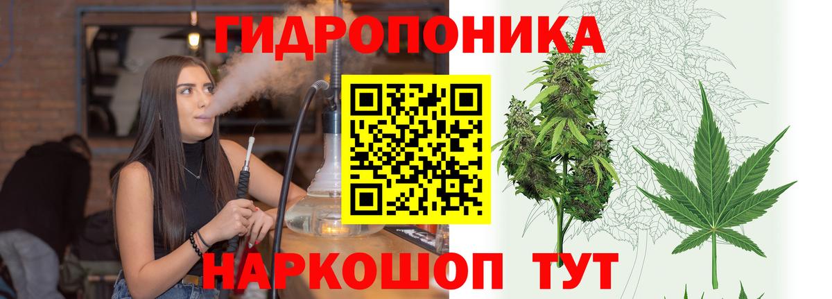 Шишки марихуана OG Kush Кувандык